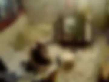 amituist live webcam preview