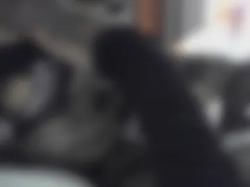 analslut4u2fuck69 photo 8