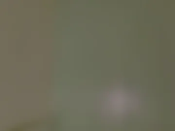 anavicc__ webcam preview