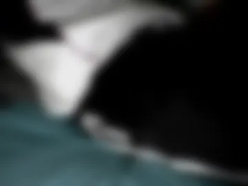 andr033 live webcam preview