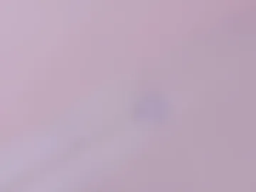 andreasweet2 photo 6