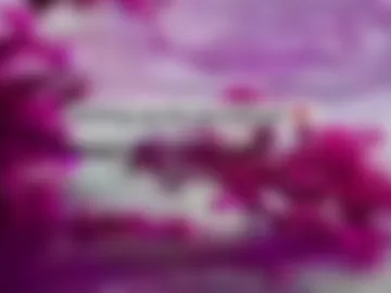 andyjey_ webcam preview