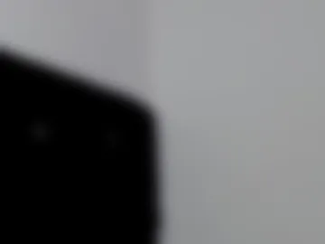 angelx_fox live webcam preview