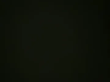 anim830373 live webcam preview