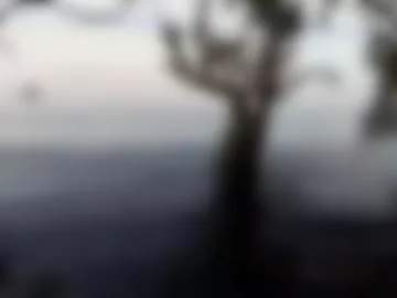 anonymousfuck3r live webcam preview