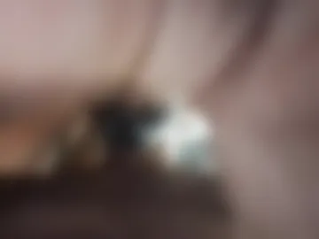ansreramso live webcam preview