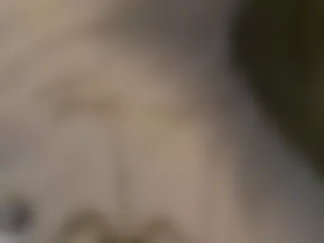 anthonyyalango9 live webcam preview