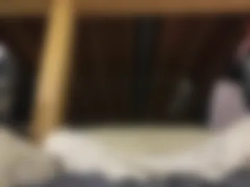 antman1332 live webcam preview