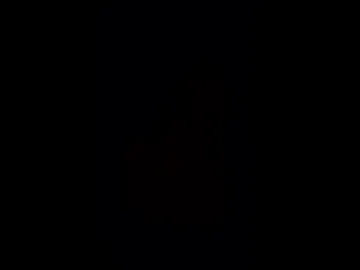 apextwins webcam preview