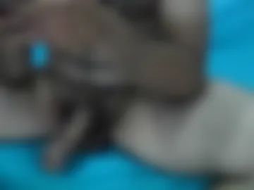 aragon011 live webcam preview