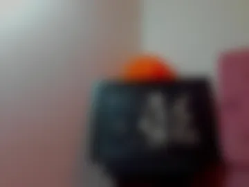 ari_le live webcam preview