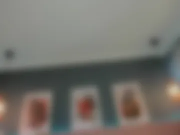 aria_valmont webcam preview
