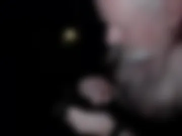 arnout95 webcam preview