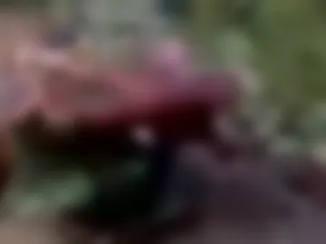 arshkhant987 photo 4