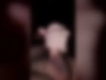 arthur_nether live webcam preview