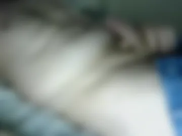 asdf2365 live webcam preview