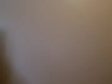 asfjkl webcam preview