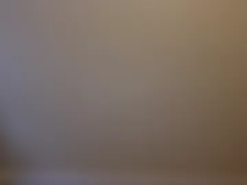 asfjkl webcam preview