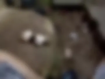 asian_boy6969 live webcam preview