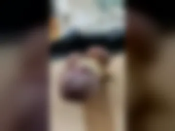 asianniga live webcam preview