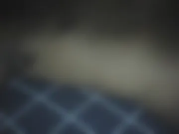 asiantwinkynick photo 7