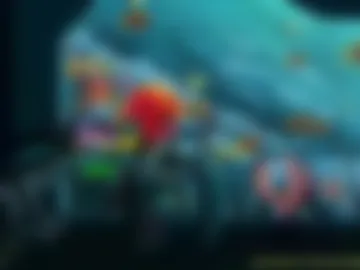 asiri_ocean webcam preview