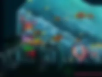 asiri_ocean webcam preview