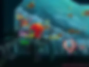 asiri_ocean webcam preview