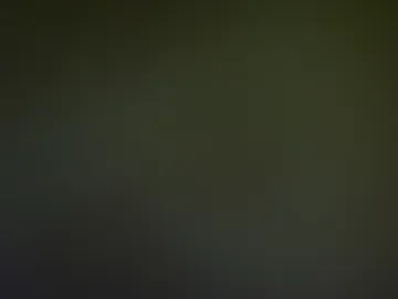 aspenmadden webcam preview