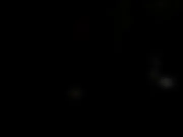atlantis_weplantus webcam preview