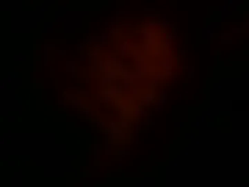 august157432932 photo 7