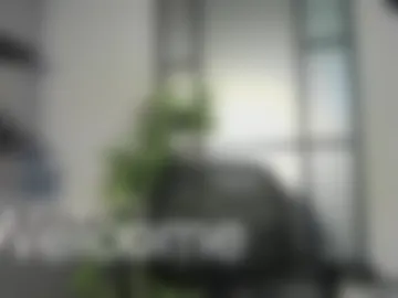 austinjones_ photo 8