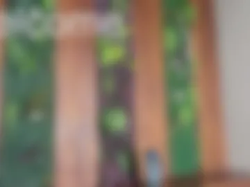 austinjones_ photo 2