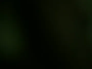 ayaradarling live webcam preview