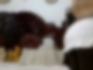 b_sn live webcam preview