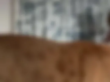 babiestgirl webcam preview