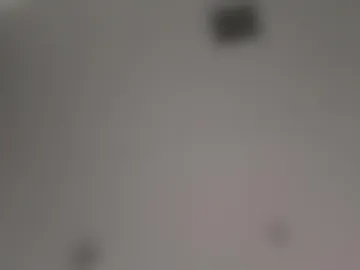 babyneedsabirkin webcam preview