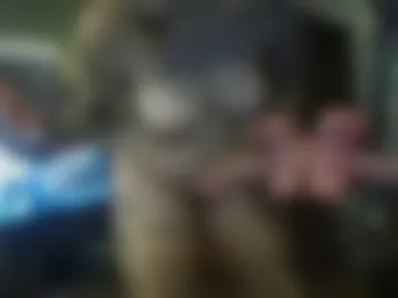 baddbiitchh live webcam preview