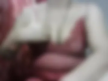 bannynew webcam preview