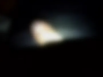 batthebite live webcam preview