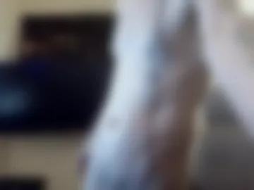 bdogboy photo 2