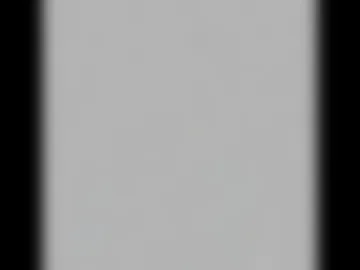 bear_in_mind photo 7