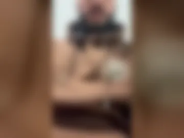 bearded_wild live webcam preview