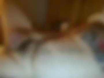 bearlylost photo 8
