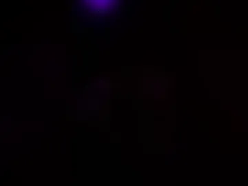 bearwithus live webcam preview