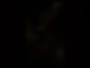 bedfordguy34 live webcam preview