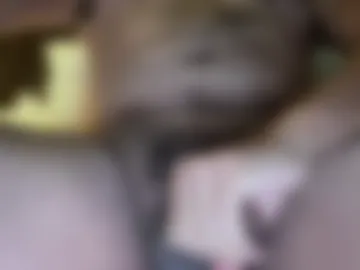 beeman2020 live webcam preview