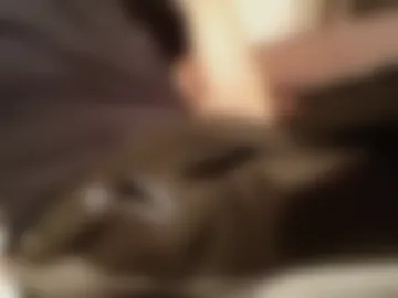 beli_man live webcam preview
