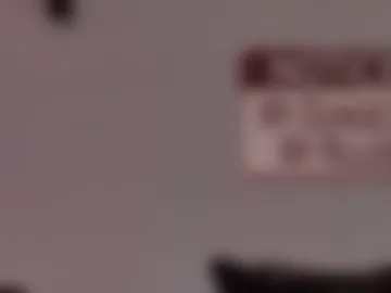 bellaskeykeeper photo 8