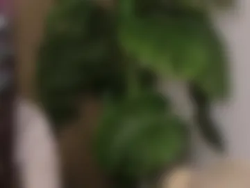 belovedkhlloe photo 8